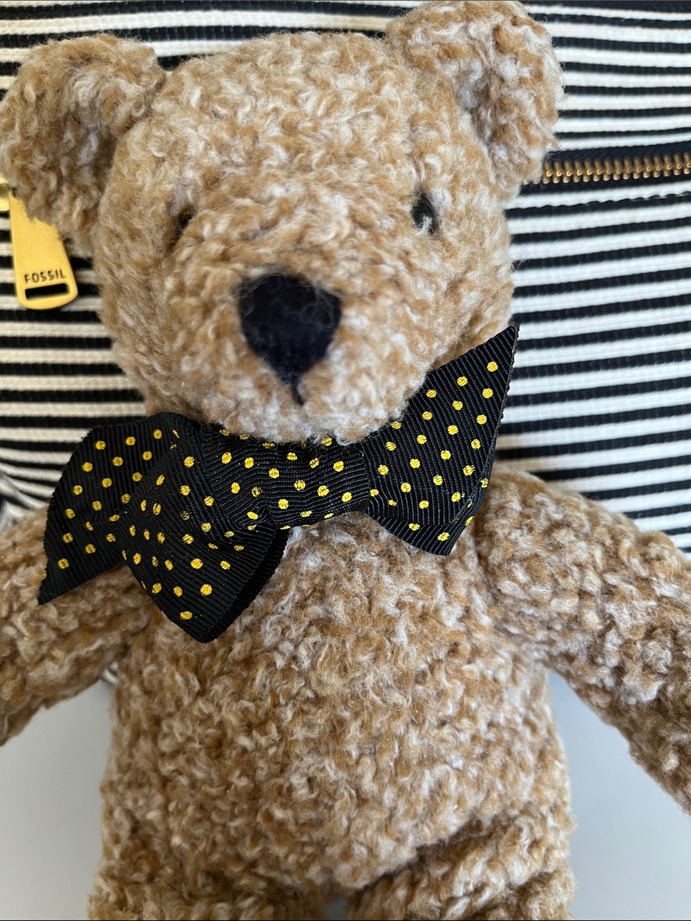 “Barley Bear” Stuffed Toy - Tan with Black Polka Dot Bow - Picture 2 of 12